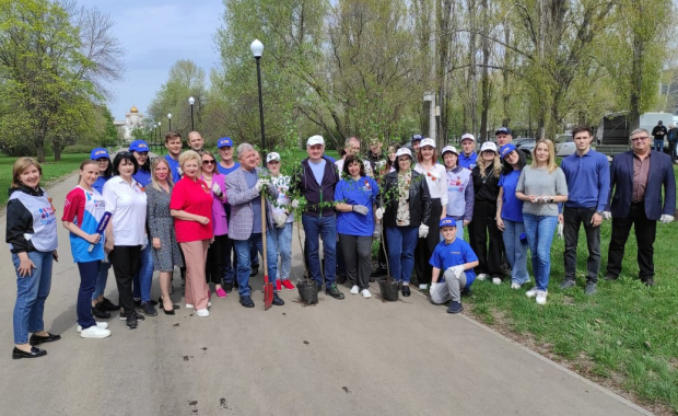 Посадка берёз в парке Победы. 26.04.2024