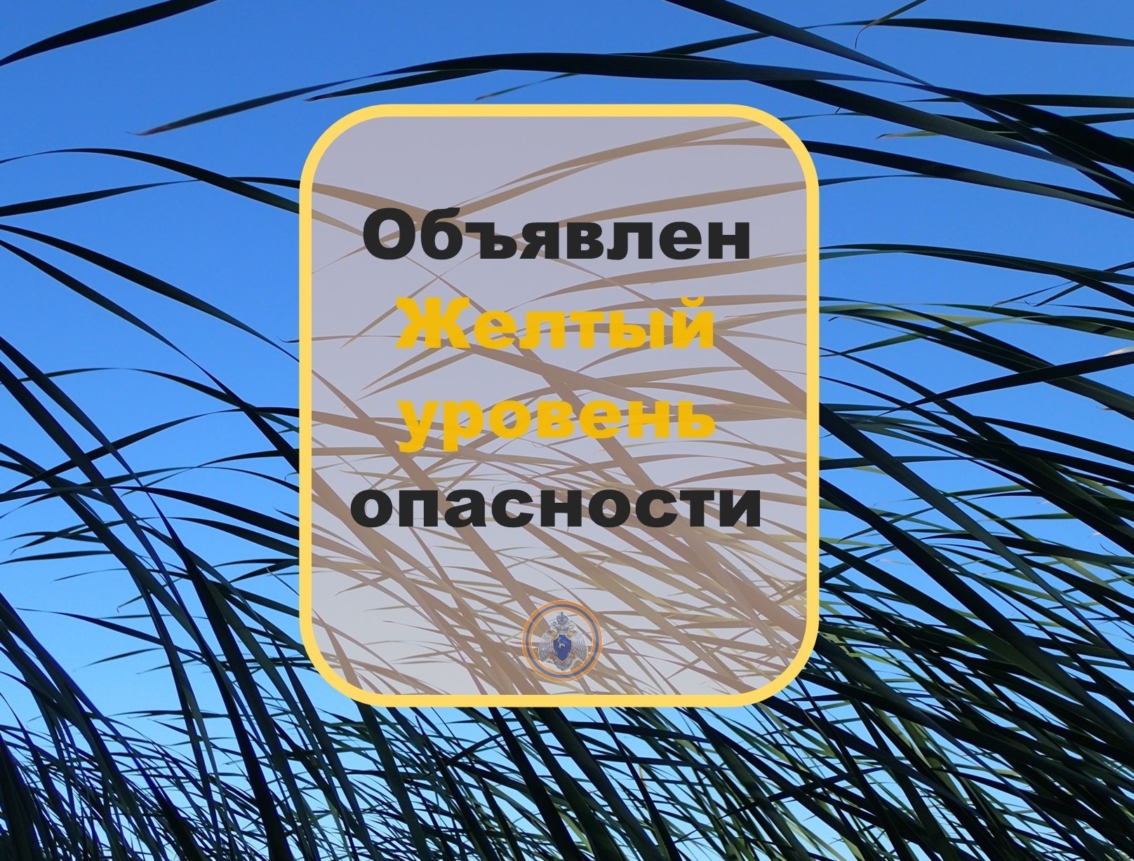 Жёлтый уровень опасности! Автомобили следует парковать вдали от деревьев, а  также слабо укрепленных конструкций. | телеканал ТОЛЬЯТТИ 24