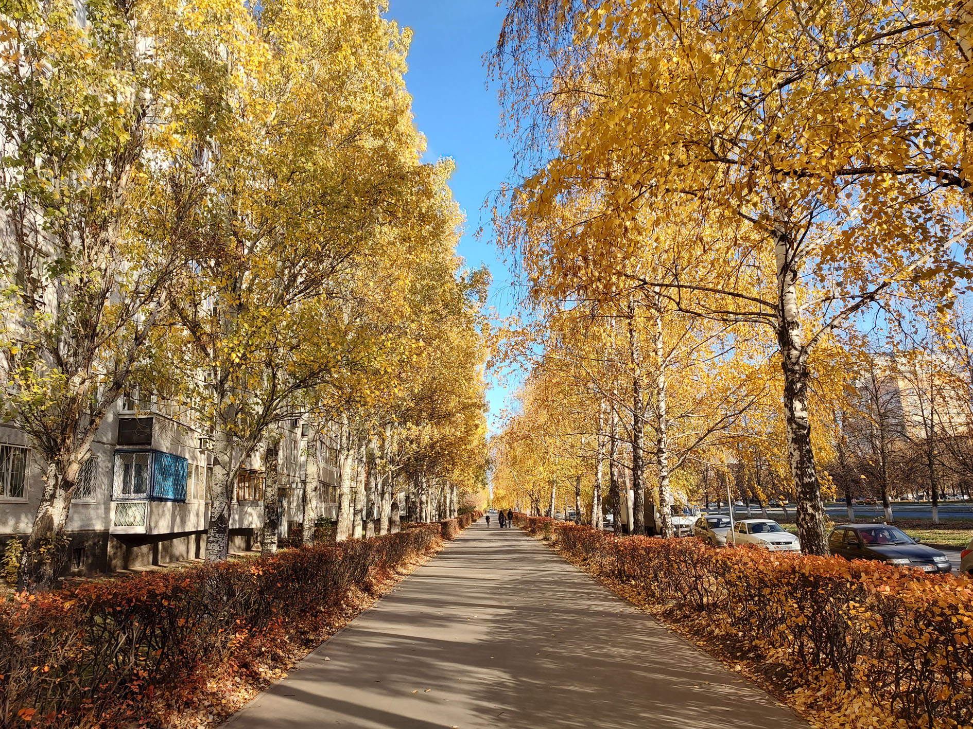 Самара ноябрь. Тольятти осень. Тольятти ноябрь. Самара в ноябре. Ноябрь в Самарской области.