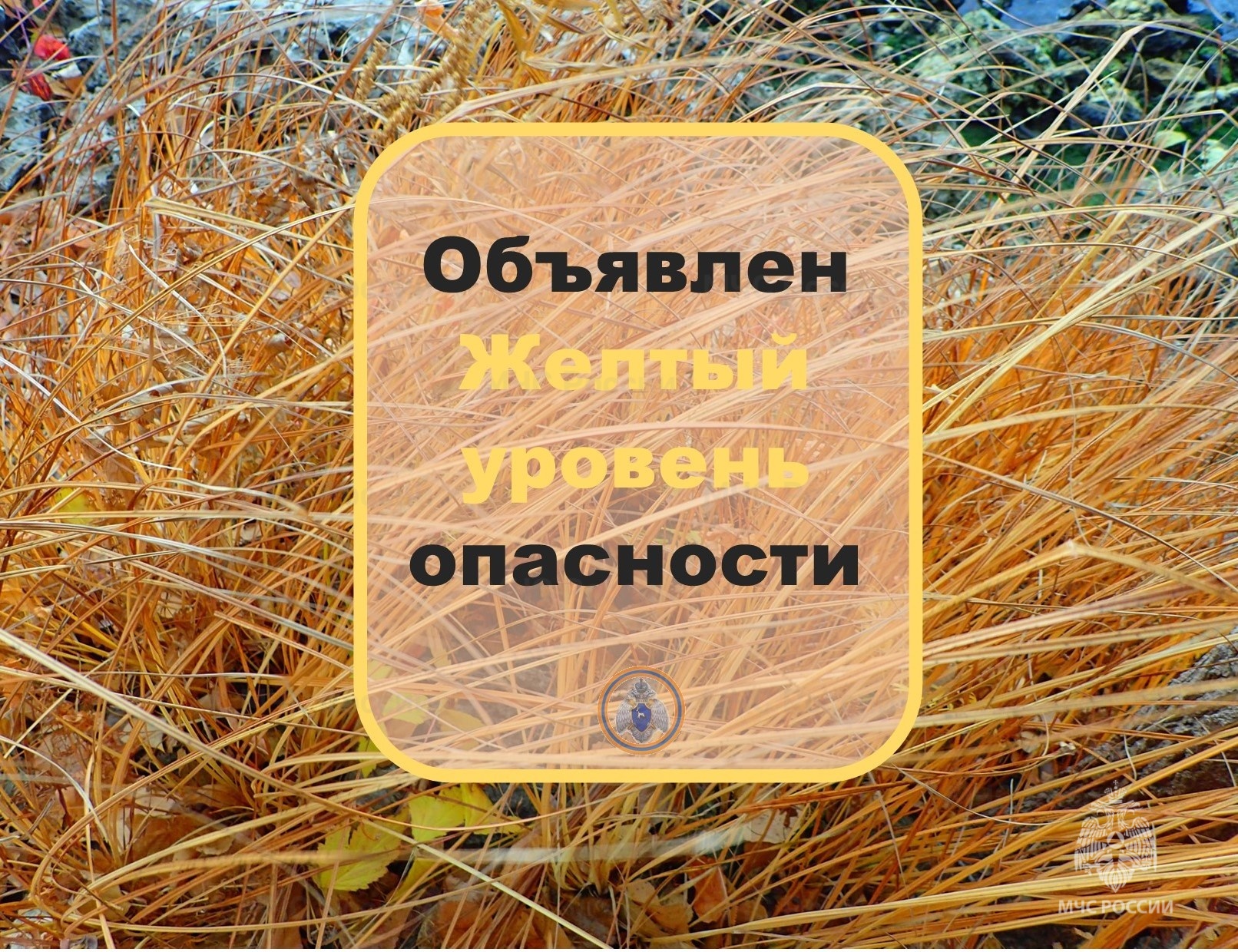 Уровень опасности понижен до жёлтого. В среду Самарскую область продолжит  продувать штормовой ветер | телеканал ТОЛЬЯТТИ 24