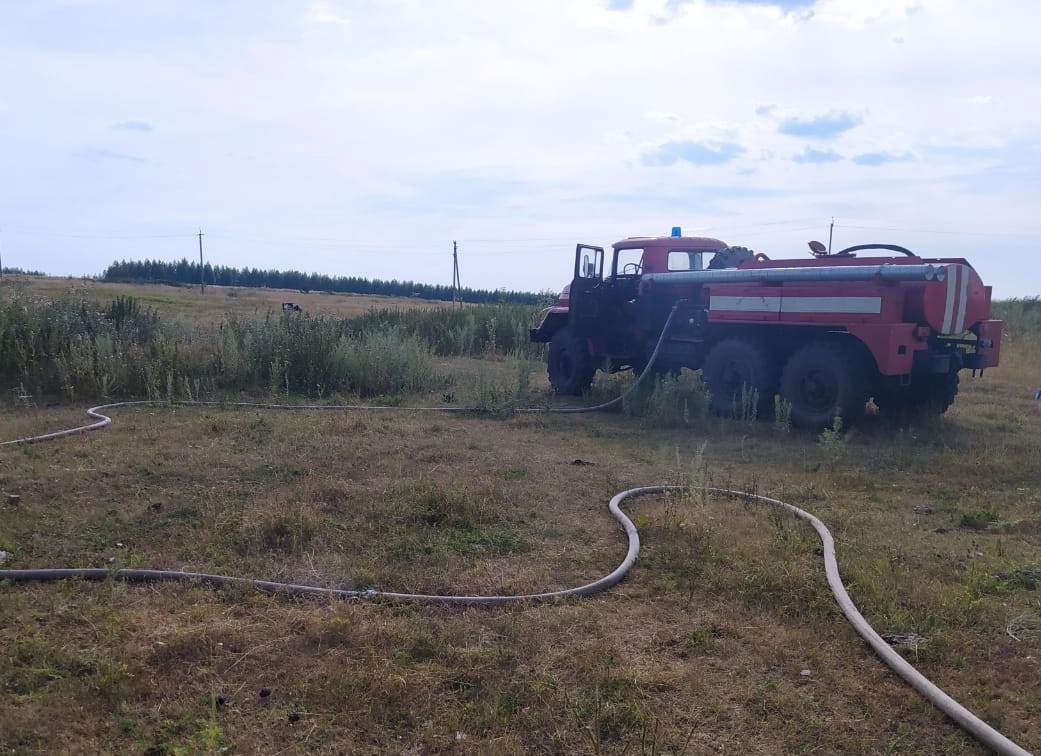 В Подстёпках добровольная пожарная команда привлекалась для тушения сухой  травы на площади 3,5 тыс квадратных метров | телеканал ТОЛЬЯТТИ 24