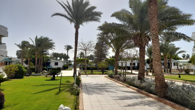 Трагедия в Египте: смерть россиянки превратилась в долговую ловушку