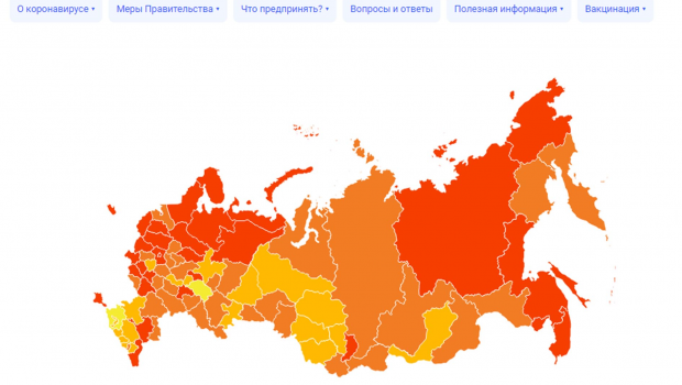 Стопкоронавирус рф официальный сайт карта распространения