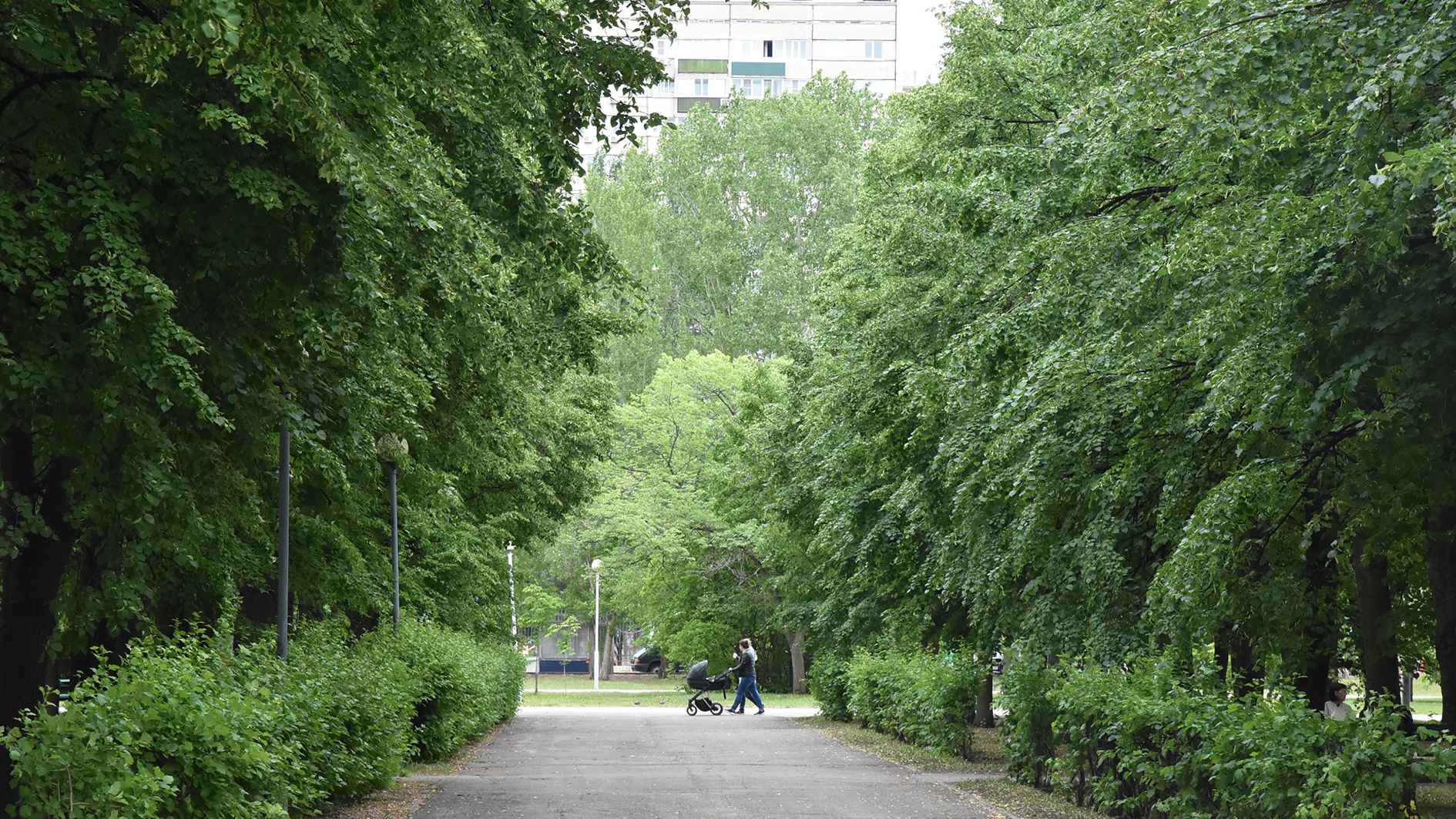 парк центрального района