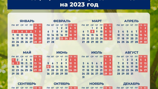 Январь 2025 календарь с праздниками и выходными