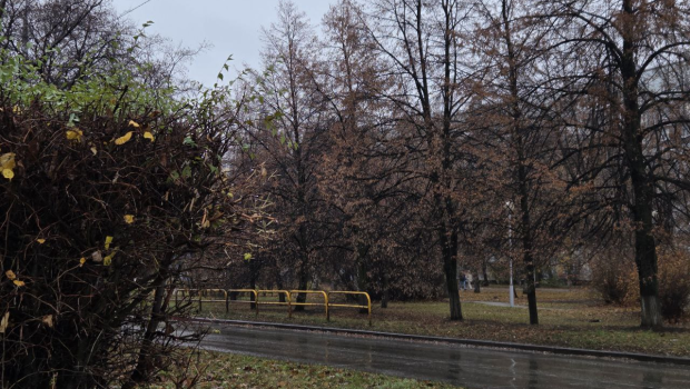 Утро субботы встречает пасмурно, но каким будет день?