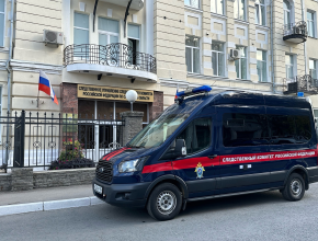 Действия или бездействие? Следком возбудил уголовное дело по факту нападения безнадзорных собак на тольяттинку