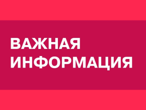 Осторожно, фишинг: как не стать жертвой интернет-мошенников