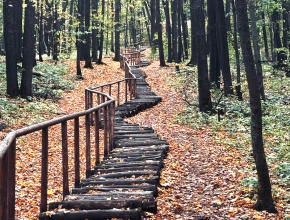 Любимая страна Россия. Каменная Чаша