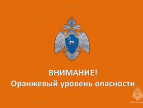 Из-за угрозы лесных пожаров в Самарской области ещё на неделю продлили оранжевый уровень опасности