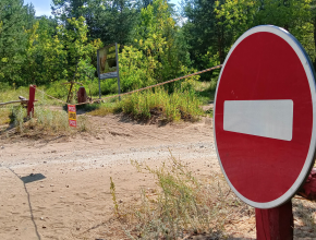 Тольяттинцев призывают ограничить посещение лесов