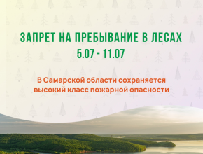 В Самарской области ещё на неделю продлили запрет на посещение лесов