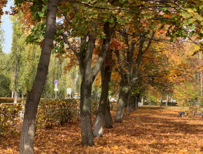 Яркие краски осени