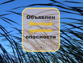 В Самарской области из-за шквалистого ветра на среду, 1 мая, объявлен жёлтый уровень опасности