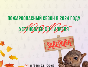 Ликвидировано 34 пожара. В областном Минлесхозе подвели итоги пожароопасного периода