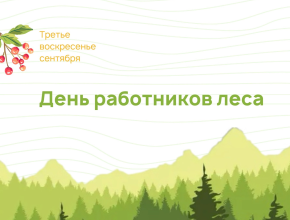 Вячеслав Федорищев поздравил работников лесного хозяйства с профессиональным праздником