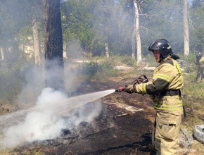 В Рачейском лесничестве 57 человек и 26 единиц техники «проливают» и «дотушивают» очаг масштабного пожара