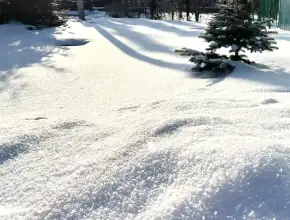 Волшебство кристаллов снега: зимняя сказка под ногами 