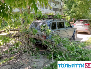 На Орджоникидзе, 15 большая ветка отломилась от дерева и упала на автомобиль