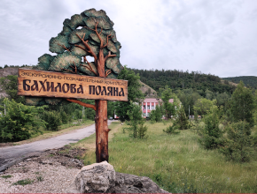 Поделитесь яблоками! Жигулёвский заповедник приглашает к участию в акции «Десерт для диких животных»