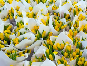 Тысячи цветов, море очаровательных улыбок и весеннее настроение — на выставке «Россия» отмечают 8 марта