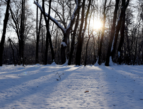 Скоро лето! 21 декабря – День зимнего солнцестояния
