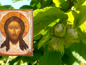 Ореховый (Хлебный) Спас – заключительный православный праздник августа