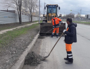 «Тольятти – чистый город». Власти рассказали, как проходит месячник по приведению в порядок общественных пространств 