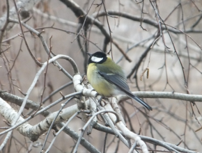 Доброе утро, любимый город!