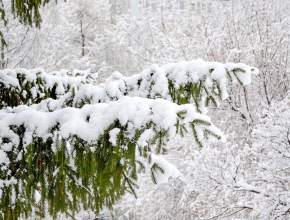 Мороз и солнце! До какой отметки опустится столбик термометра в Тольятти?