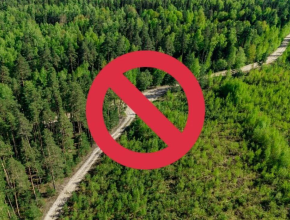 В Самарской области продлили запрет на посещение лесов