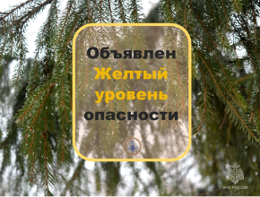 Будьте осторожнее! На субботу из-за шквалистого ветра и гололедицы в Самарской области объявили жёлтый уровень опасности