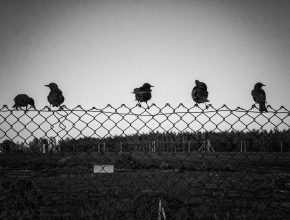 Тольяттинка стала победительницей всероссийского фотоконкурса