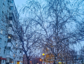 Что принесёт этот день? Ответили звёзды