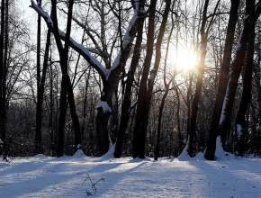 Самый короткий день в России продлится 18 минут