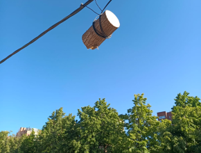 В девятом квартале очень необычно спилили дерево. На последствия жалуются жители 