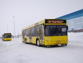 АВТОВАЗ и подвезёт, и накормит