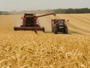 Путин допустил, что в 2022 году будет собран рекордный урожай зерна