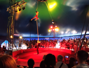 Умеет делать чудеса! 20 апреля – Всемирный день цирка
