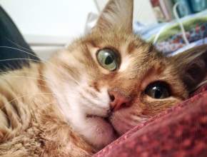 Грустный день календаря...  Сегодня - самый депрессивный день в году, третий понедельник января