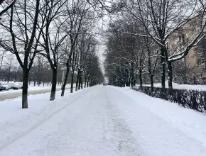 О погоде в воскресенье: небольшой снег и заносы на дороге