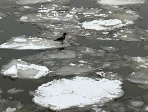 Снежная суббота в Тольятти: -3, -5°C и комфорт