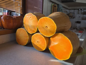 От улыбки тыквы станет всем теплей!