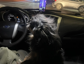 «Это мой Саня и он очень большой любитель женщин!»