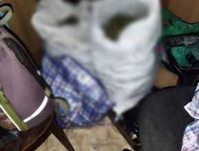 «Урожай» с последствиями: в Похвистневском районе нашли 3,5 кг наркотиков!