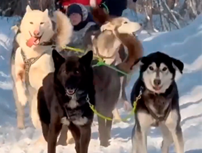 «Серебро Севера» зовёт! Скоро – Зимний экспедиционный лагерь для школьников «Юность Волги»