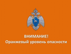 В Самарской области до конца рабочей недели продлили чрезвычайный уровень пожарной опасности лесов