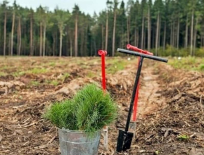 Сдай макулатуру – спаси дерево! Самарская область примет участие во всероссийском эко-марафоне «Переработка»