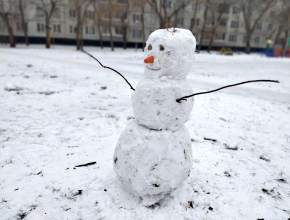 А вы уже лепите снеговиков? Погода сейчас самая подходящая