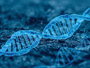 До чего генетика дошла! Международный день ДНК